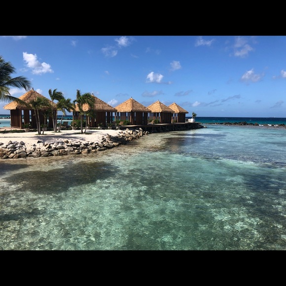 Meet your Posher, Ris - Picture 1 of 1